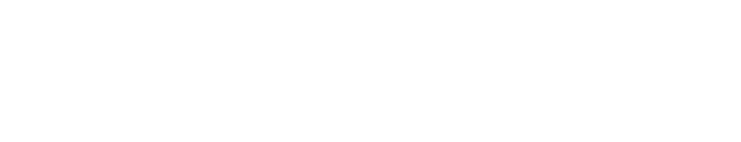 Scootaround | Bird footer logo